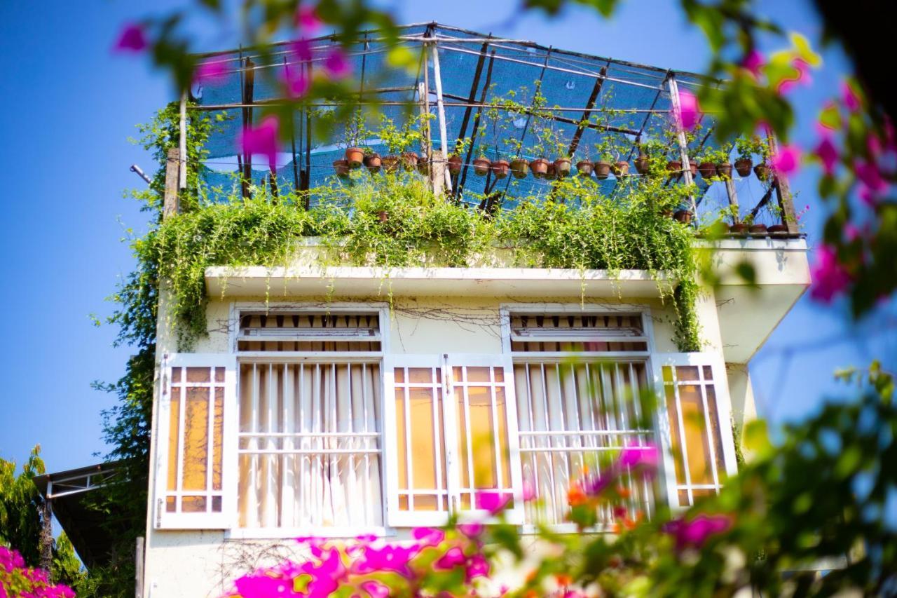 Skybird Homestay Hoi An Exterior foto