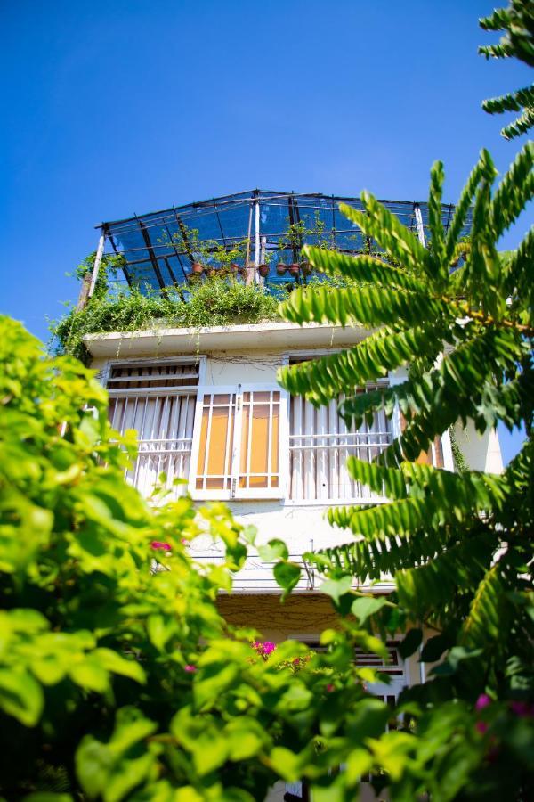 Skybird Homestay Hoi An Exterior foto