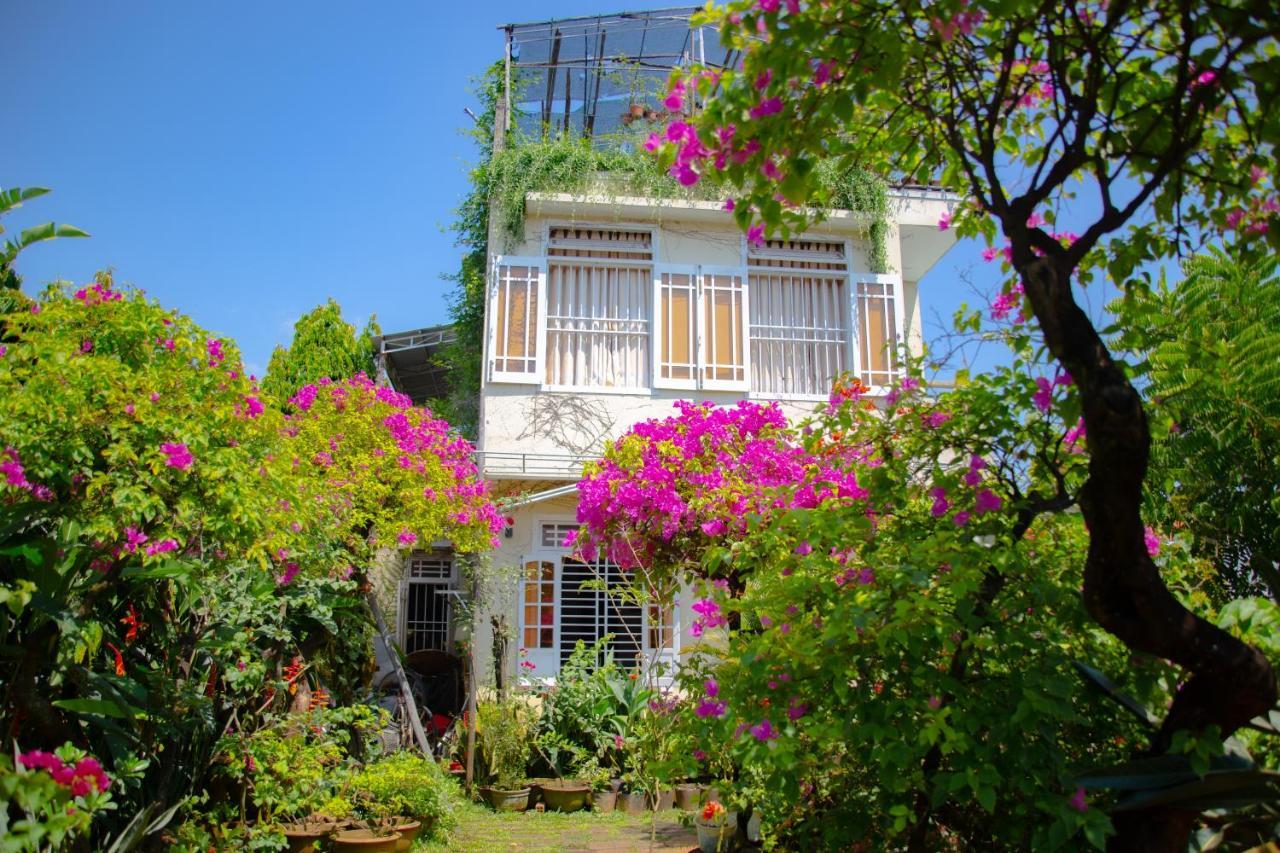 Skybird Homestay Hoi An Exterior foto