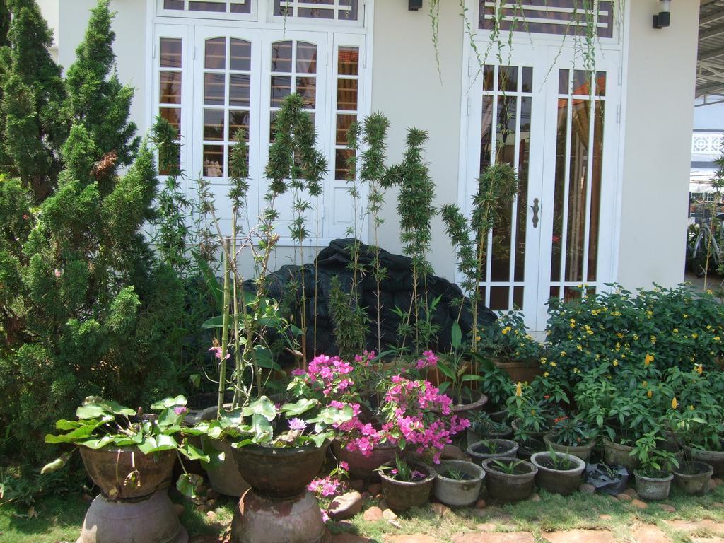 Skybird Homestay Hoi An Exterior foto