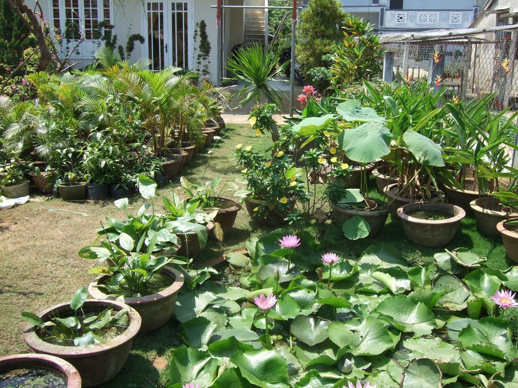 Skybird Homestay Hoi An Exterior foto