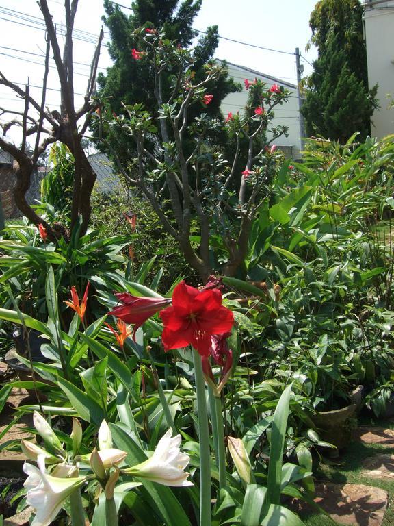 Skybird Homestay Hoi An Exterior foto